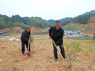 茶座丨群众得实惠复垦自然受欢迎