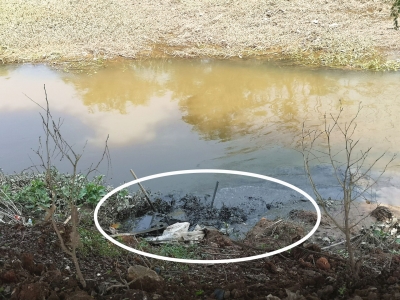 闫景军调研程江、宁江河水环境整治工作：扎实推进“五清”确保水质达标