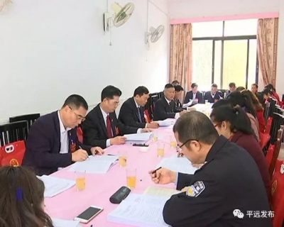 平远县人大代表分组审议人大、法检两院工作报告