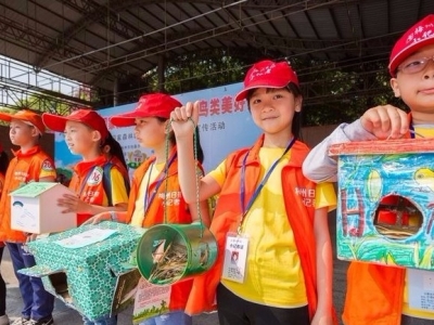 茶座丨用爱心织劳鸟儿“安乐窝”