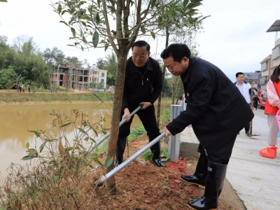 添新绿！今天，梅县干群热火朝天植树忙