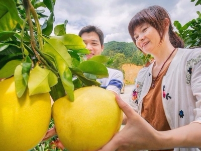 全国50个“邮政农品”揭晓！省内唯二入榜是梅州这个“特产”