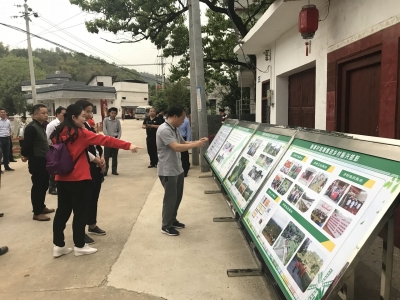 乡村振兴怎么干？梅州各镇党委主要负责人到这些地方“取经”