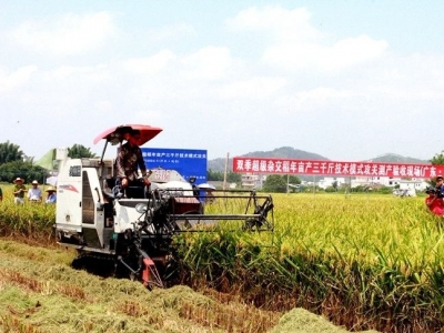 理论丨全力以赴做好“三农”工作