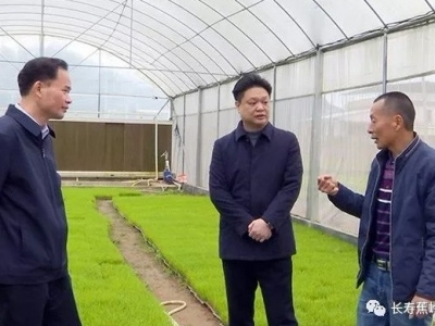 陈伟明等县领导率队开展暖企服务活动：助推实体经济高质量发展