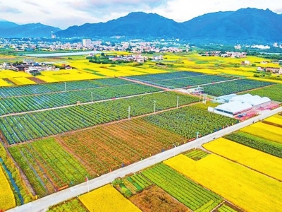 理论丨做现代农业优秀“舞者”