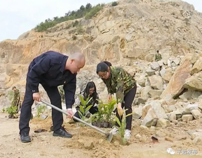 让废弃矿山重披“绿衣”！平远中行镇开展义务植树活动