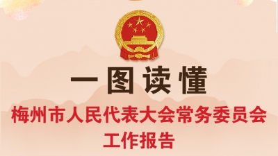 最新！一图读懂市人大常委会工作报告