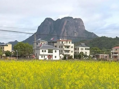 每年安排3000万！平远出台《实体经济扶持奖励实施办法》