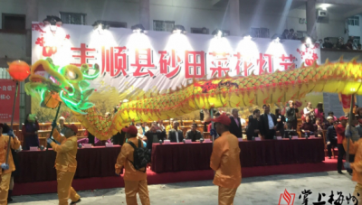 知行录丨把菜花灯节打造成优秀文化名片