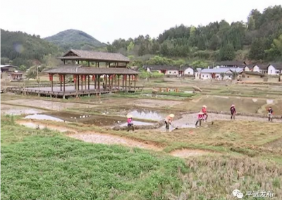 平远乡村振兴规划通过评审