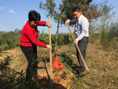为美丽家园添一抹绿！五华回乡联村干部回乡发动种树