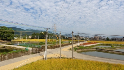 农村“蜘蛛网”问题如何破？ 梅州给出“四网融合”新答案