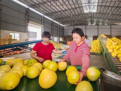 理论丨高质量发展特色农业