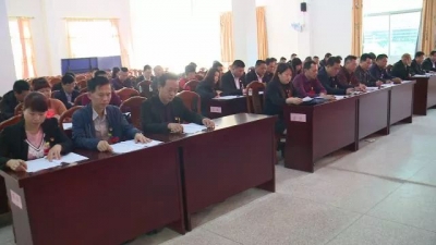 大埔县14个镇召开人大例会：科学谋划、部署新一年工作