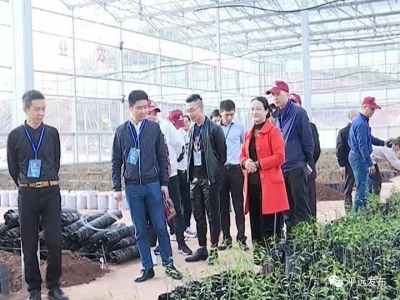 博商学院领袖三班考察团到平远考察：探索双赢模式共促发展