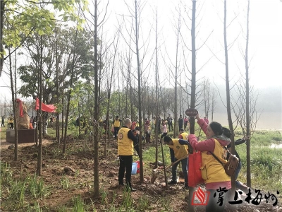 阳光正好！今天，他们一起给梅州“添绿”了！
