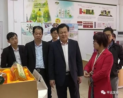省农电商协会一行到平远调研：打造具有平远特色的农村电商亮点！