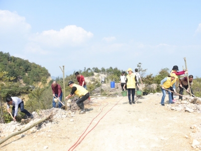 点赞！丰顺两青年发动乡贤筹资建起公园，还组织志愿者“添绿”