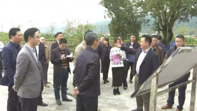 朱汉东到百侯镇调研乡村复兴论坛•大埔峰会筹备工作