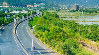 S223线雁洋至梅城段4月8日起改造，将实施单边双向通车