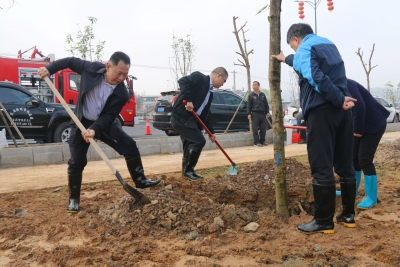 为“创森”添新绿！梅江区领导班子参加义务植树活动