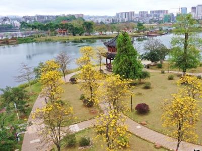 客都议事厅丨发挥优势打造“世界客都·长寿梅州”