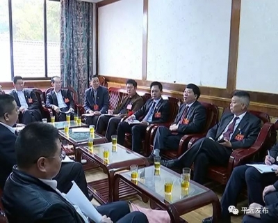 平远县人大代表分组审议讨论政府工作报告