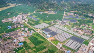 70年的风云变化，听老村医讲他眼中的大埔侯北变迁计