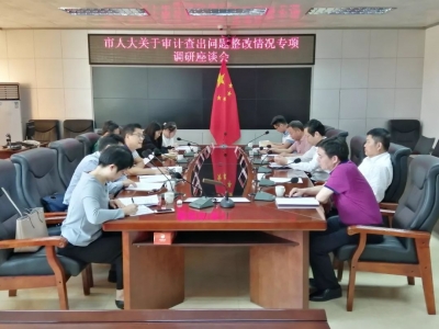 市人大财经工委到丰顺开展审计查出问题整改情况调研