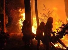 广州一出租车司机在微信群侮辱凉山救火英烈，已被警方刑拘