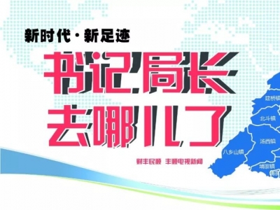一起来看！丰顺县各镇（场）党委书记和县直单位局长上周都在忙啥？