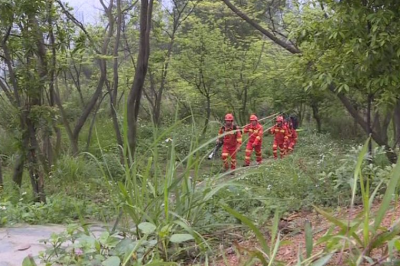 丰顺县多措并举严防清明期间森林火灾