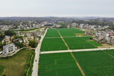 乡村“俏起来”、农民“富起来”！来看五华这个乡村大变样