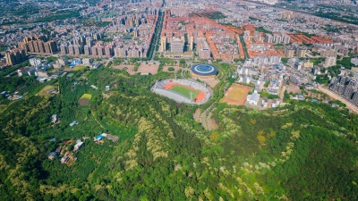 美！梅县区这片“绿”，是这样“创”出来的...