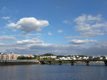 学习笃行丨优化营商环境  培育投资沃土