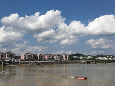 学习笃行丨精准高效服务 做好民政工作