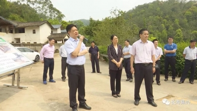 互学互比互看！蕉岭这样推进乡村振兴