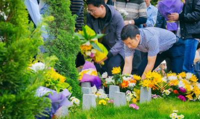 “七项免费”解民忧！我市殡葬改革为民减负逾亿元
