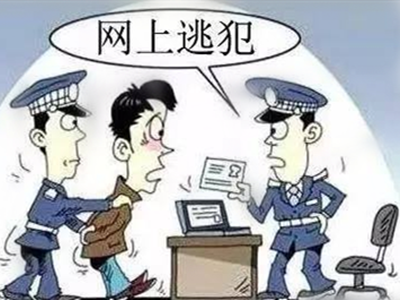 兴宁“网逃”遇到五华交警，逃亡生涯终结束！