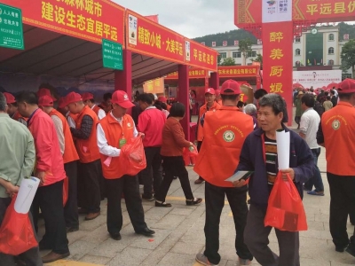 大地植绿 心中播绿！平远开展广东省森林城市建设主题宣传活动 