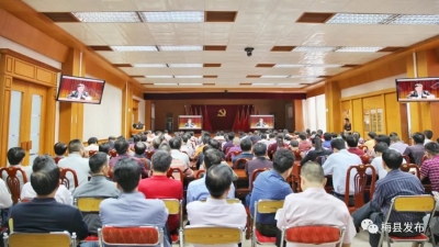 梅县区学习贯彻《粤港澳大湾区发展规划纲要》：把握大湾区建设机遇 力促老区苏区大发展