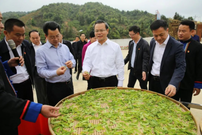 曾永祥：厚植生态优势做好“生态+”茶旅融合发展文章