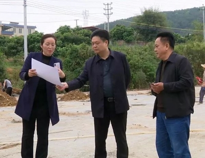 陈伟明到长潭镇调研若夫公园建设工作