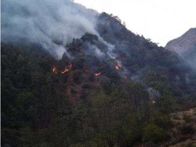 凉山冕宁山火案破获：村民熏蜂巢起火后又两次纵火