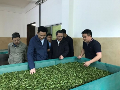 省农业农村厅领导到丰顺调研省级现代农业产业园建设情况