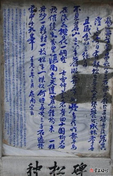 宋湘重视植树造林二三事