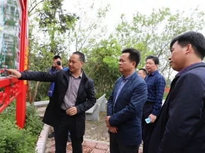 朱汉东率队到枫朗镇调研“红色村”党建示范工程建设和新农村示范村建设情况