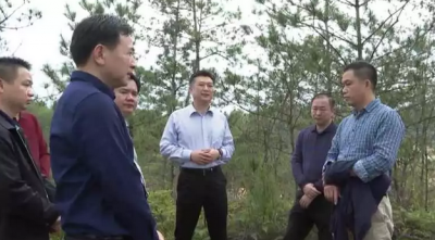 熊锋松调研大埔县城工业小区和科工商务工作，提了这些要求...