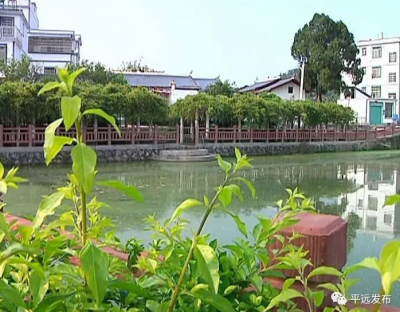 平远副县长刘兰娇督查南粤古驿道定向大赛平远站赛事筹备情况